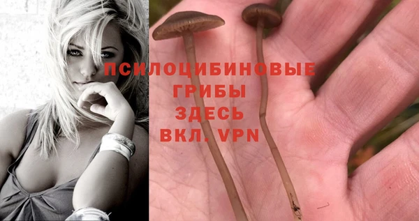 меф Няндома