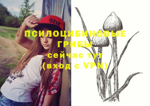 MESCALINE Богородск