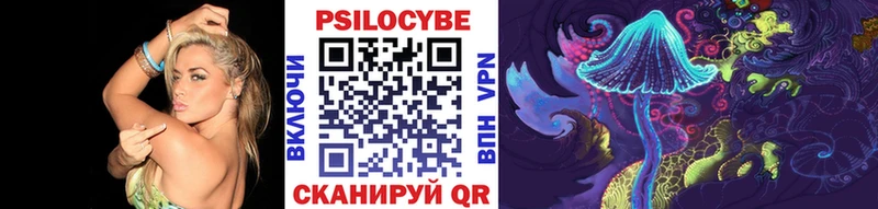 Псилоцибиновые грибы Cubensis  Унеча 