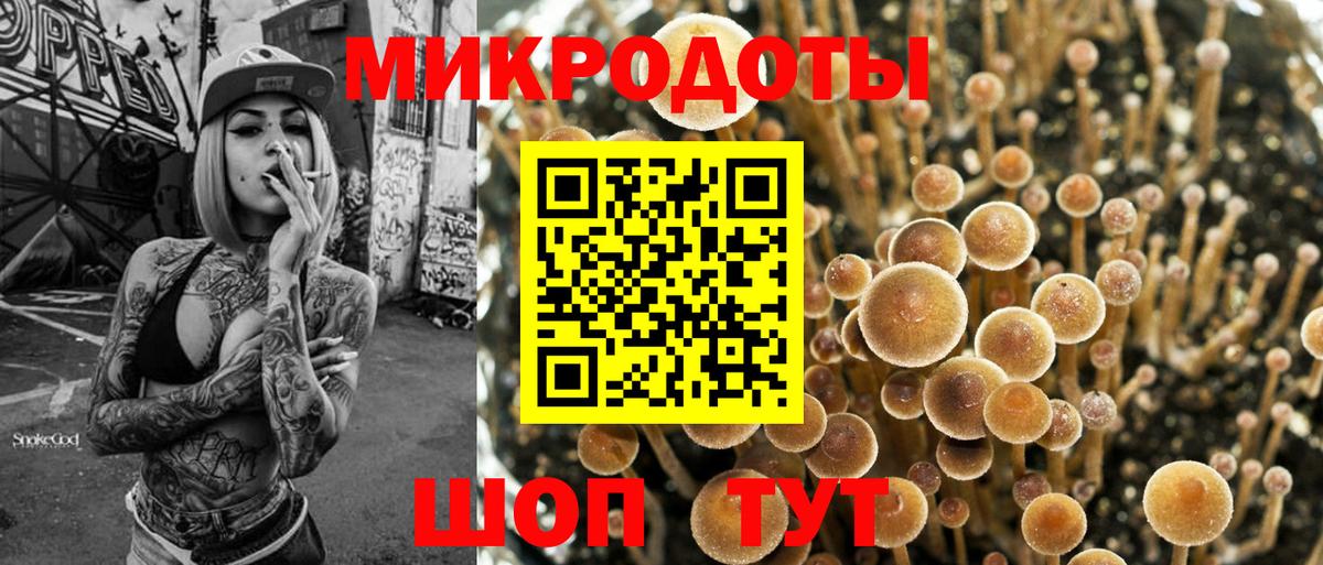 Унеча  Галлюциногенные грибы GOLDEN TEACHER  Вход с VPN  Галлюциногенные грибы MAGIC MUSHROOMS 